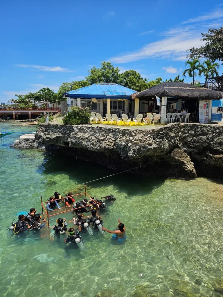 세부 패션 다이브 센터 앞바다에서 진행되는 체험 다이빙