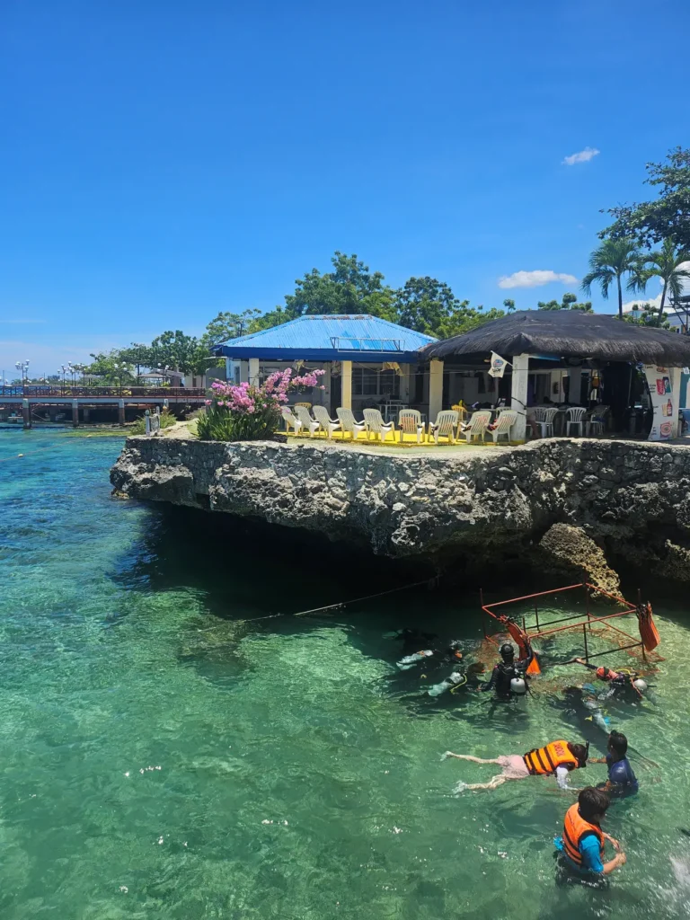 패션 다이브 센터 전경과 바로 아래 맑은 바다에서 다이빙을 즐기는 사람들