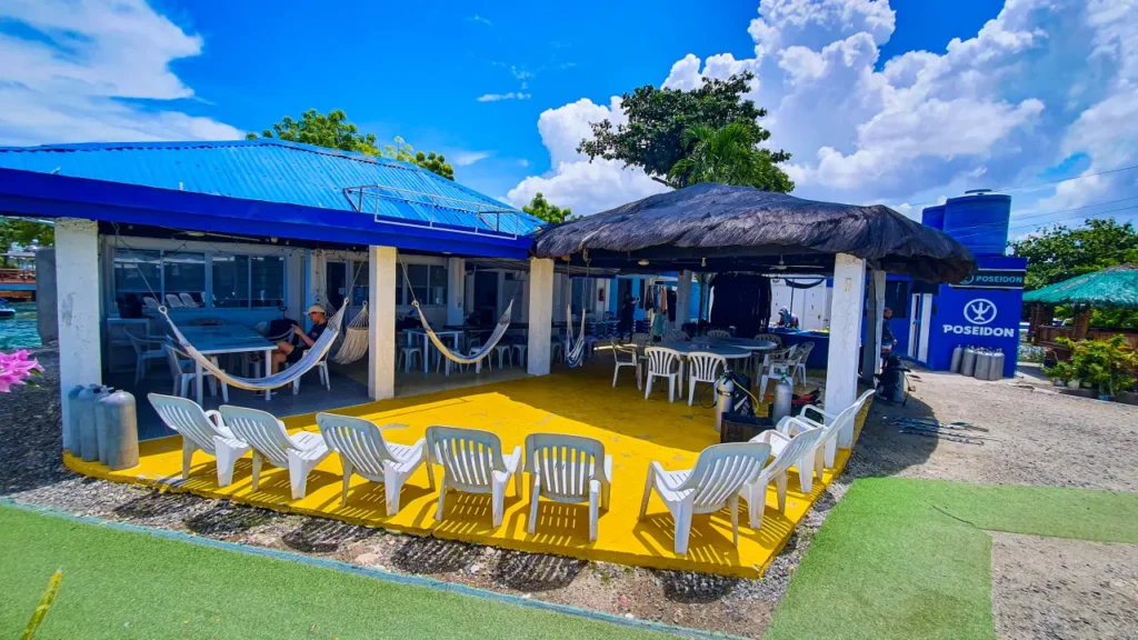 패션 다이브 센터의 노란색 바닥과 해먹이 있는 편안한 다이버 휴게 공간