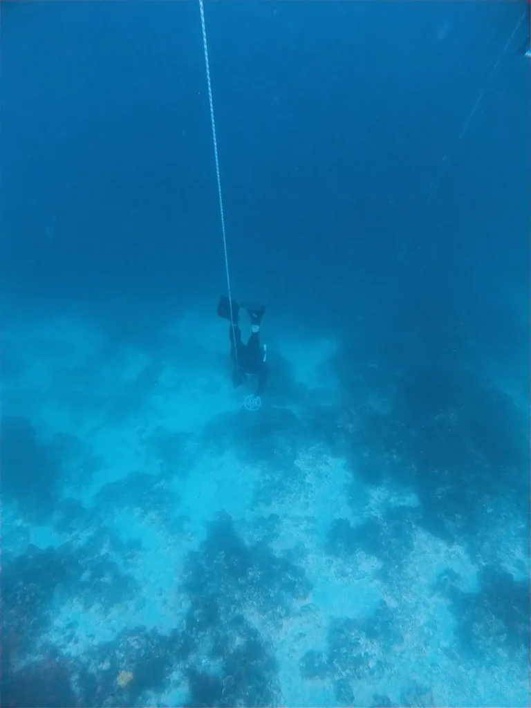 PADI 프리다이빙 세부 바다 수심