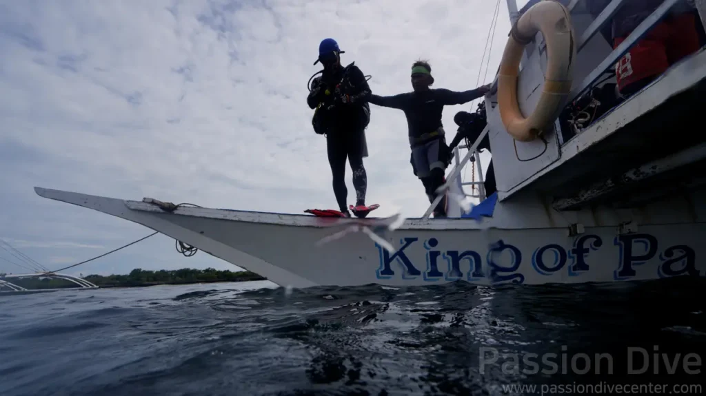 방카 선수에서 부용 포인트 입수를 준비하는 다이버들