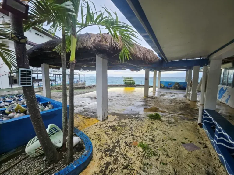 Passion Dive shop in Cebu, safe with no damage after Typhoon Kalmaegi (Tino)