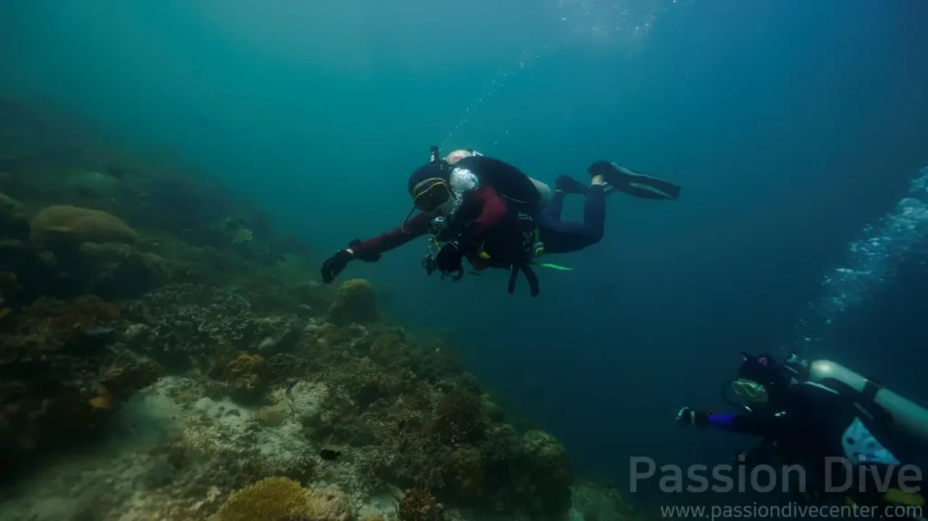 힐루뚱안 산호 경사면을 따라 중성부력을 유지하며 여유롭게 다이빙하는 모습