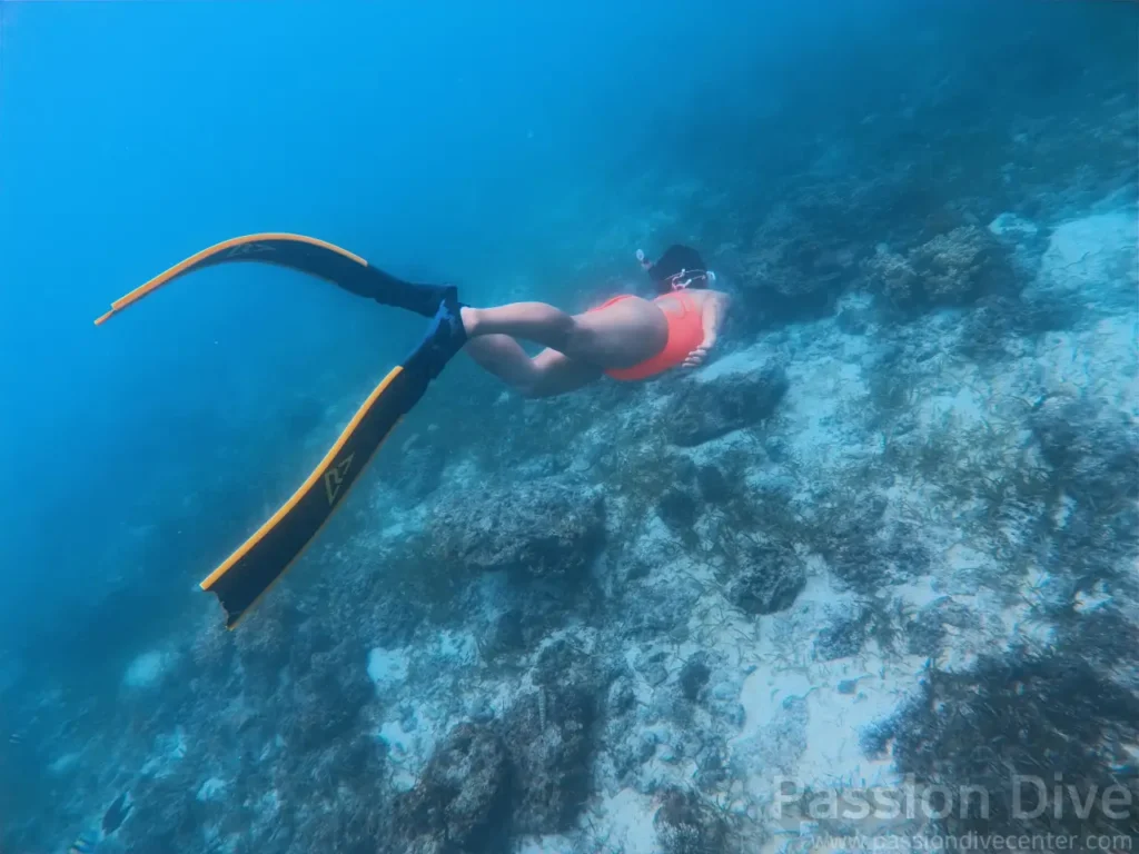 A female freediver in an orange swimsuit swimming horizontally near the coral reef at Olango Marine Sanctuary with long black fins.