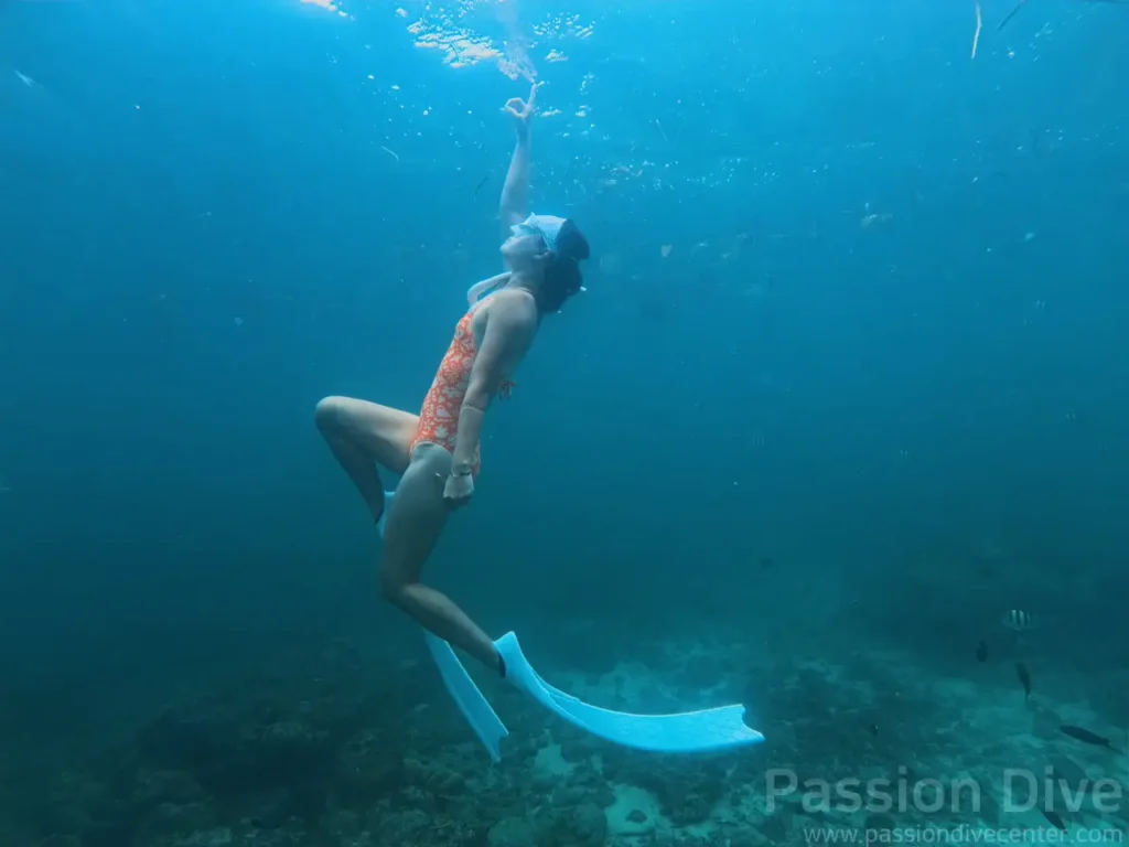 세부 프리다이빙 펀 다이빙 투어 - 올랑고 해양공원