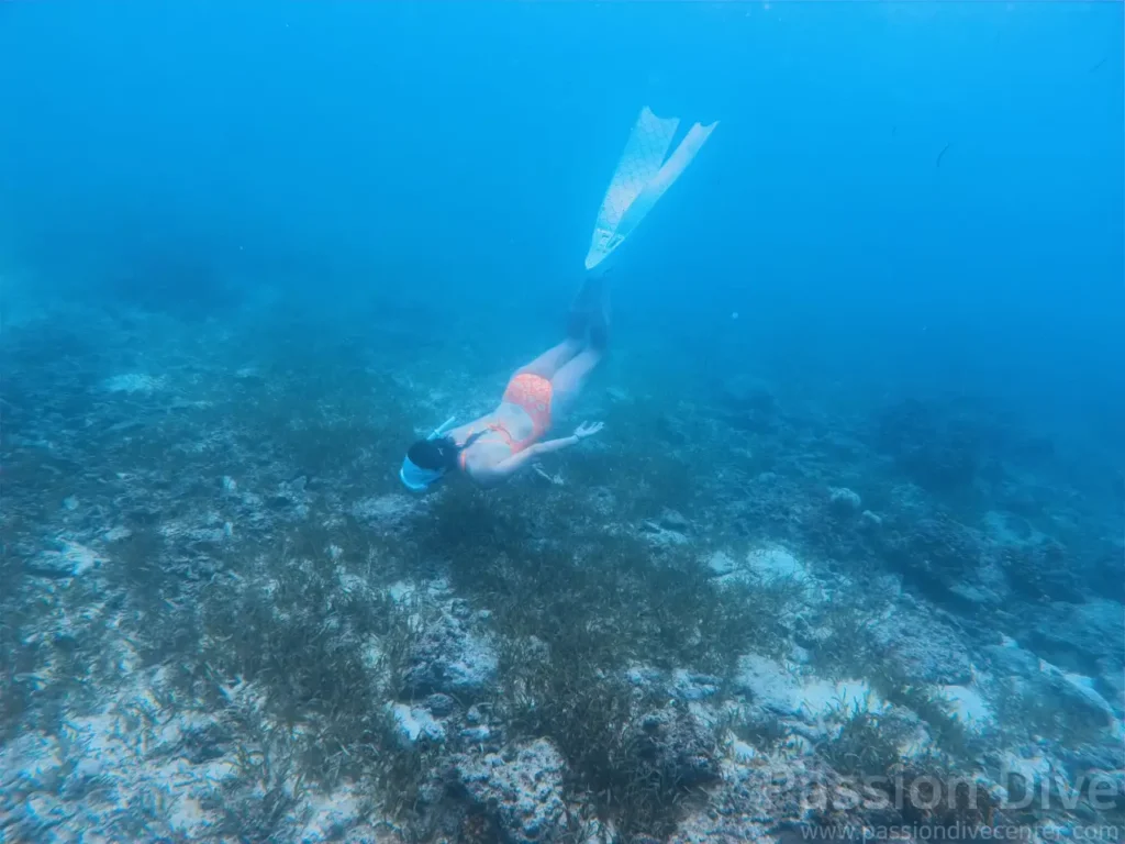 세부 프리다이빙 펀 다이빙 투어 - 올랑고 해양공원