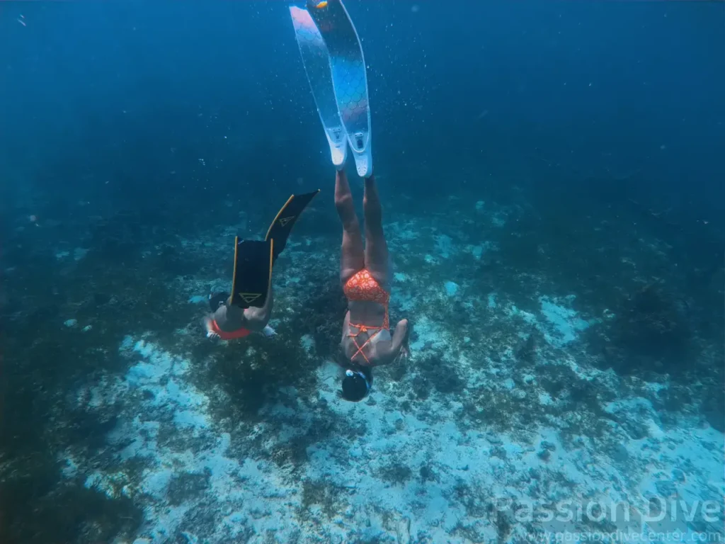 세부 프리다이빙 펀 다이빙 투어 - 올랑고 해양공원