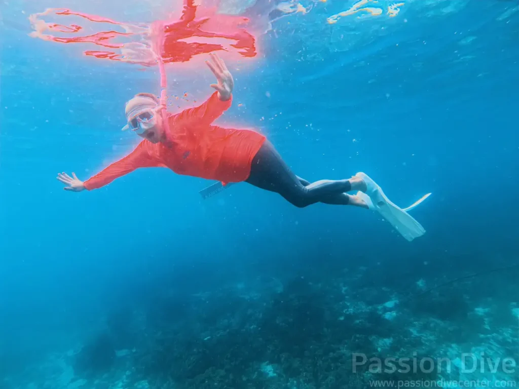 세부 프리다이빙 펀 다이빙 투어 - 올랑고 해양공원