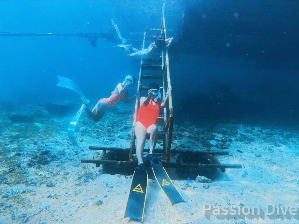 세부 프리다이빙 펀 다이빙  투어 - 올랑고 해양공원