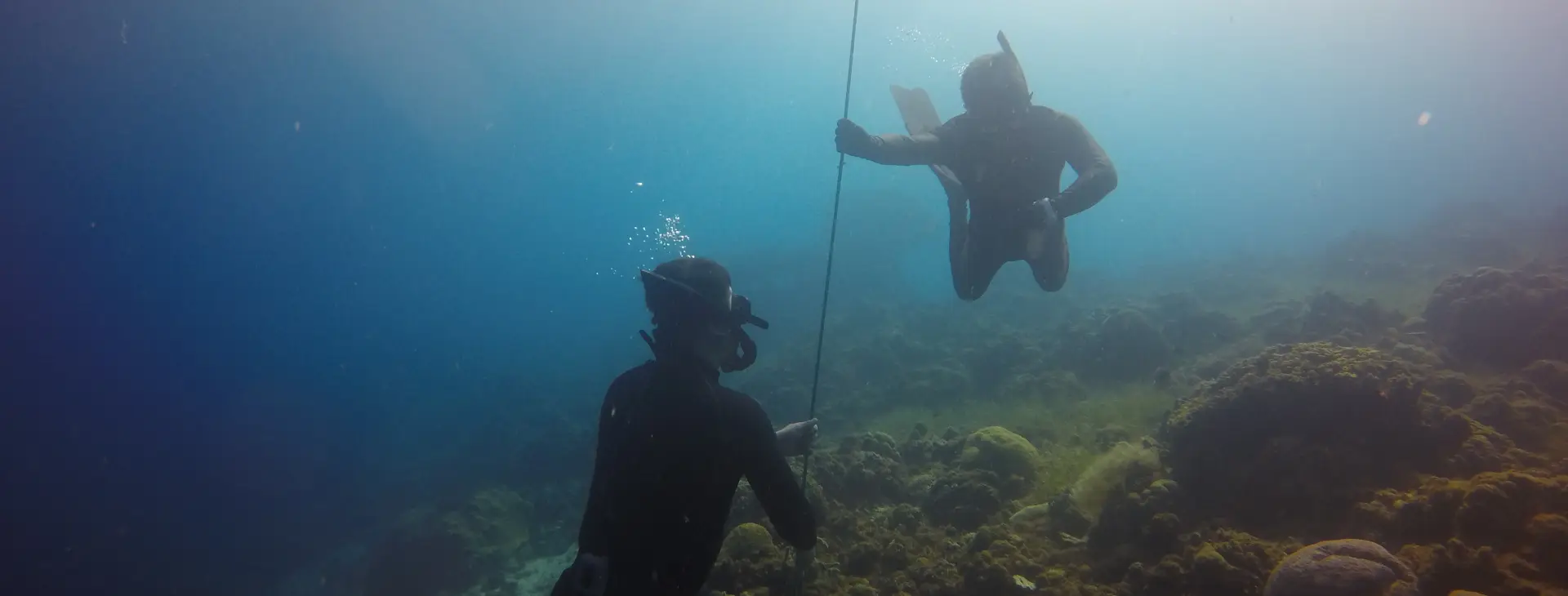 세부 바다 속에서 패션 다이브 강사와 학생이 프리다이빙 라인을 잡고 교육을 받는 모습