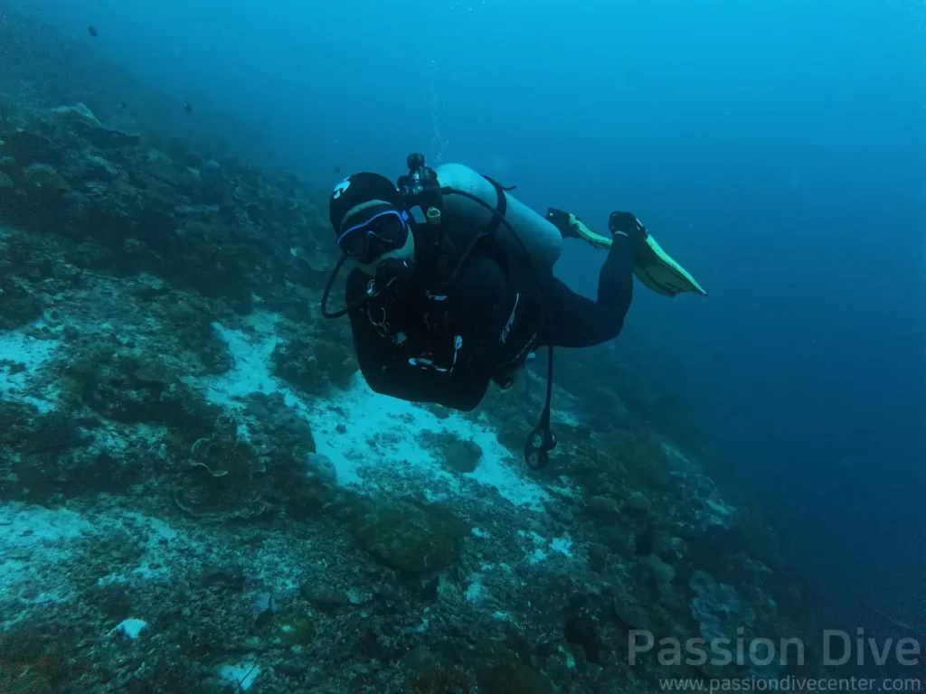 안정적인 자세로 정면을 응시하며 다이빙을 즐기는 패션다이브 게스트