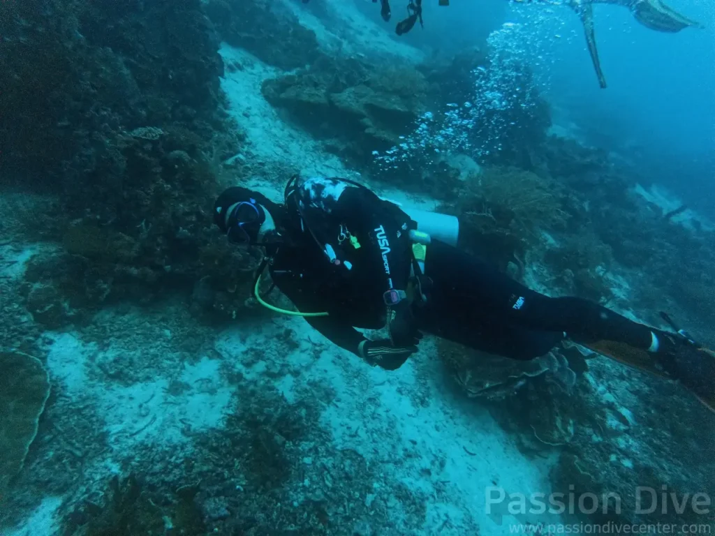 완벽한 유선형 트림 자세로 날루수안 산호 지대를 유영하는 다이버 측면 사진