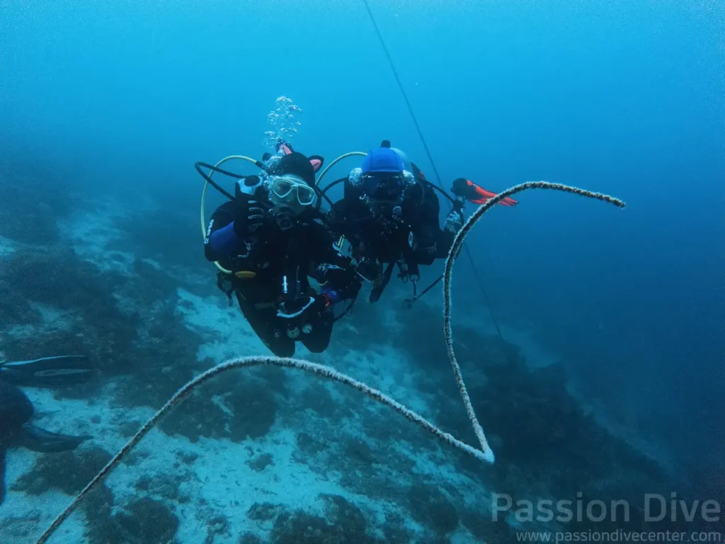 긴 회초리 산호를 사이에 두고 버디와 함께 브이 포즈를 취하는 다이버들