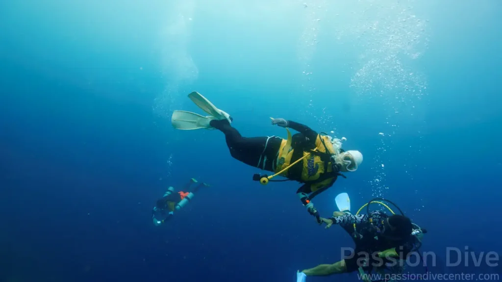 Bohol Fun Diving Tour - Wall Diving