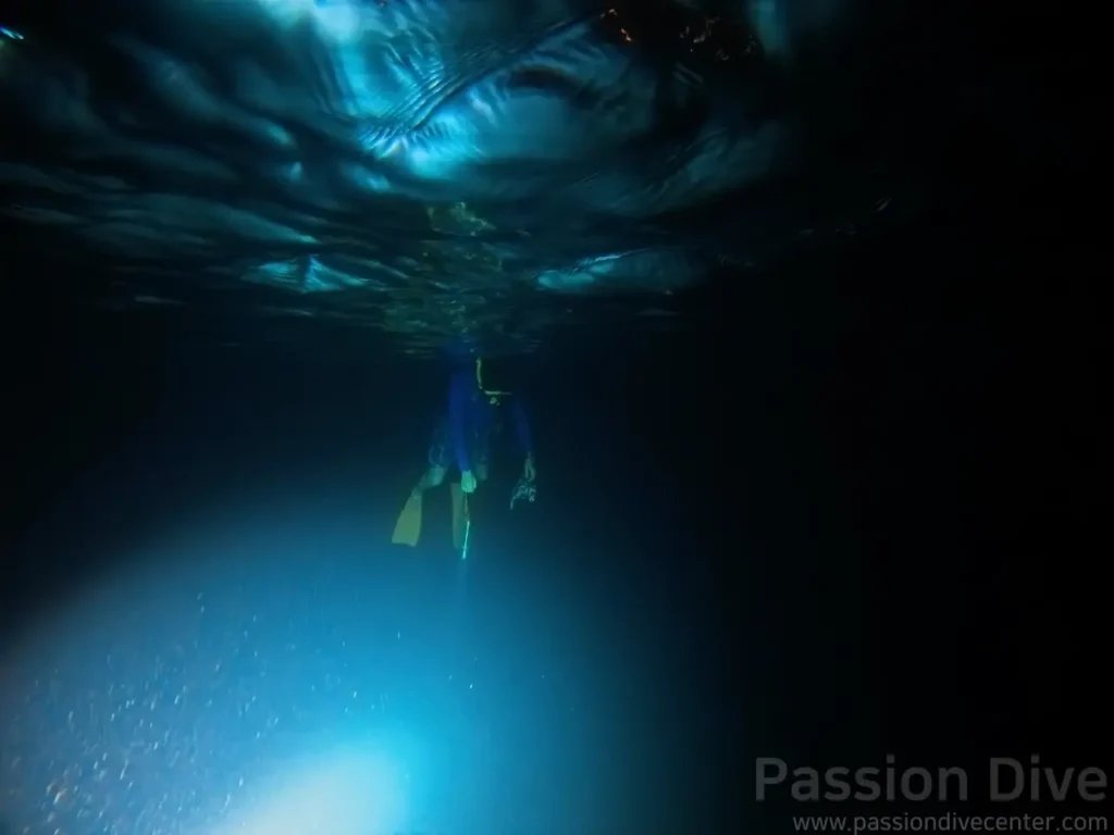 A lone freediver descending into the dark abyss of the night sea, guided by a single beam of light