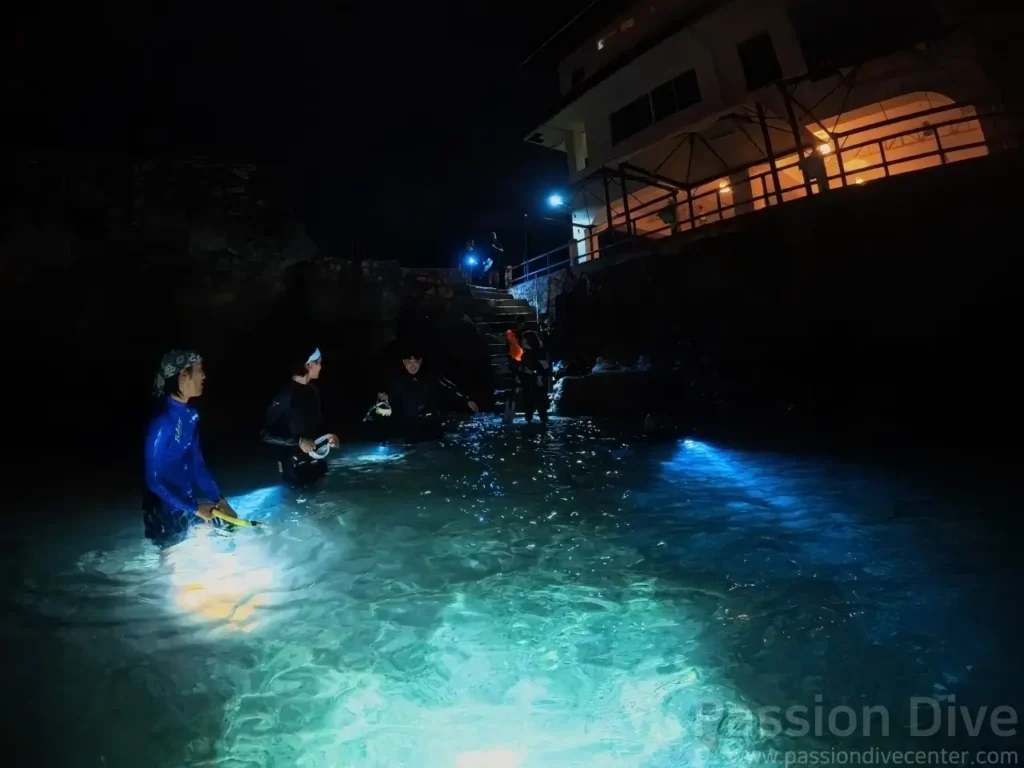 Freedivers preparing to enter the water at night in front of the Passion Dive center in Cebu, Philippines.