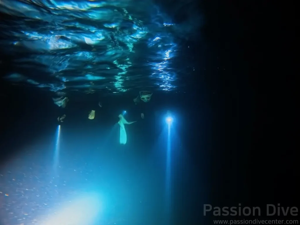 A group of freedivers exploring the dark ocean with powerful underwater torches during a night dive session.
