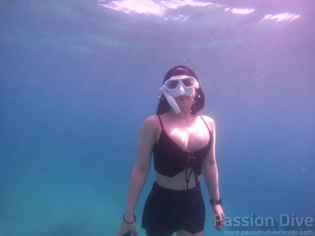 A freediver hovering underwater and facing the camera at the Passion Dive housereef in Mactan, Cebu