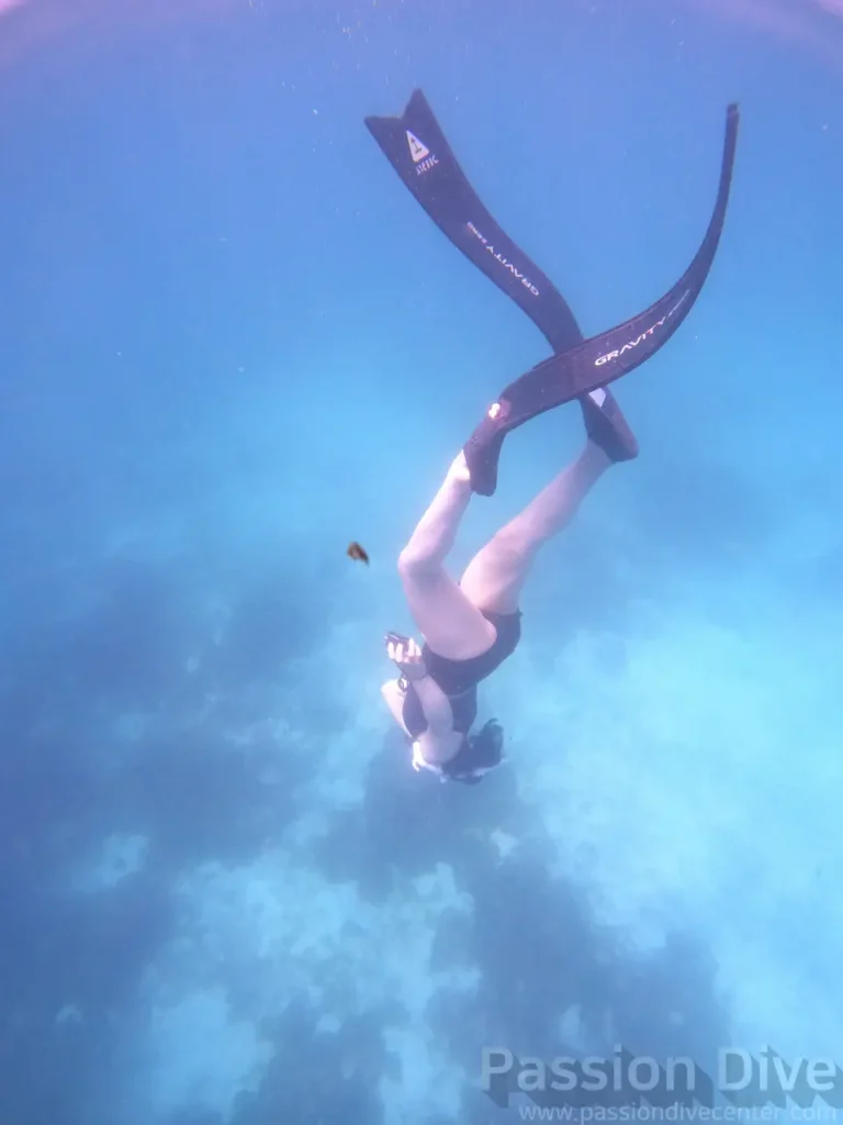 A freediver in a head-down descent position at the Passion Dive housereef in Mactan, Cebu, with long fins filling the frame
