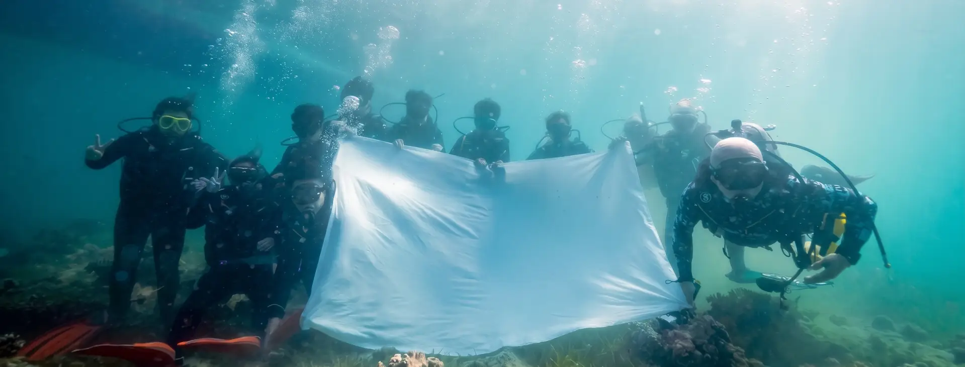 A diving club team taking a group underwater photo at Mactan marine park, Cebu — Passion Dive