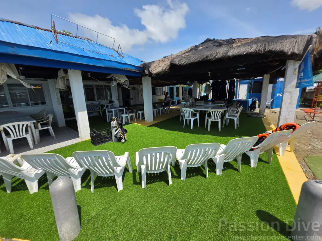 The newly renovated outdoor lounge area at Passion Dive center in Cebu, featuring lush green artificial turf and white relaxation chairs.