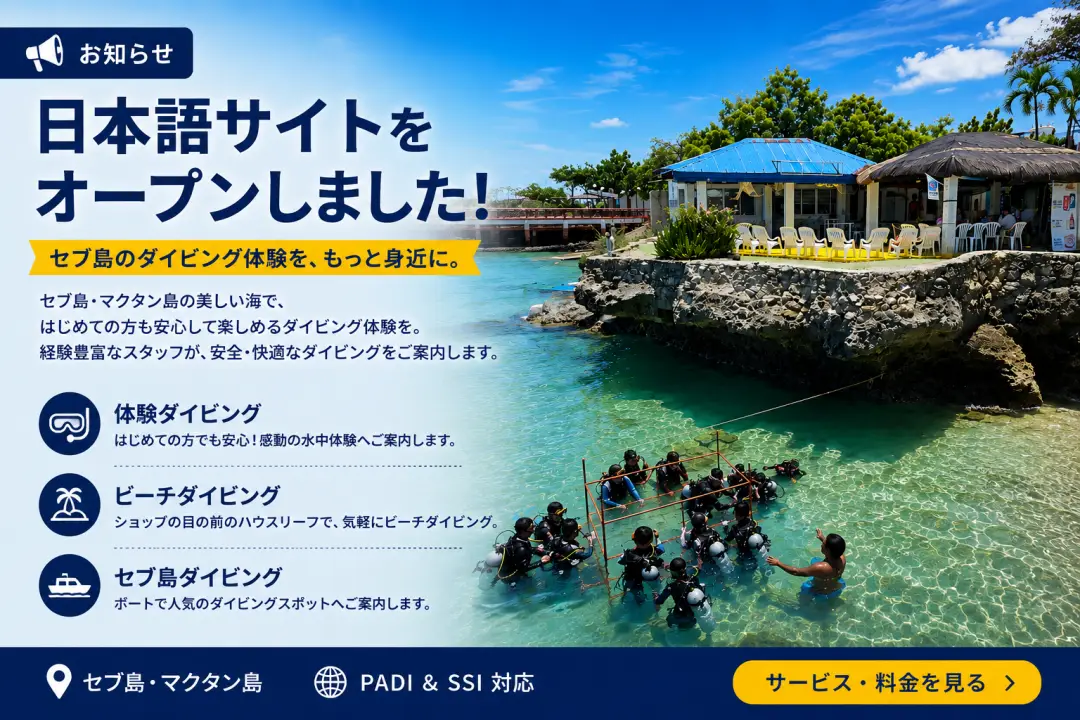 Cebu Island diving, experience diving and beach diving