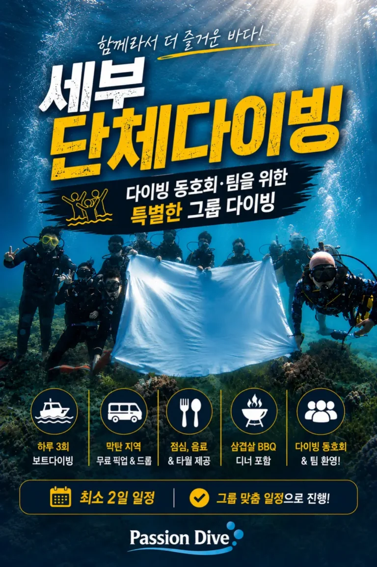 세부 단체다이빙을 즐기는 다이버들