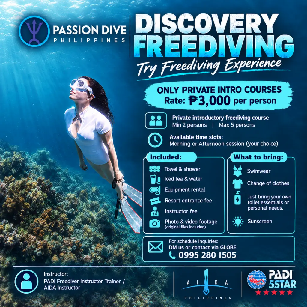 Private beginner freediving experience in Cebu