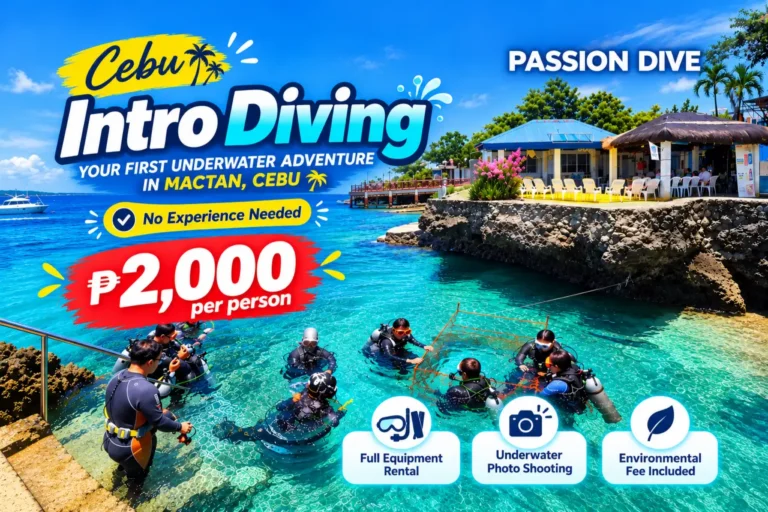 Cebu intro diving promotion at Passion Dive Mactan, ₱2,000 per person with equipment rental, underwater photos, and environmental fee included